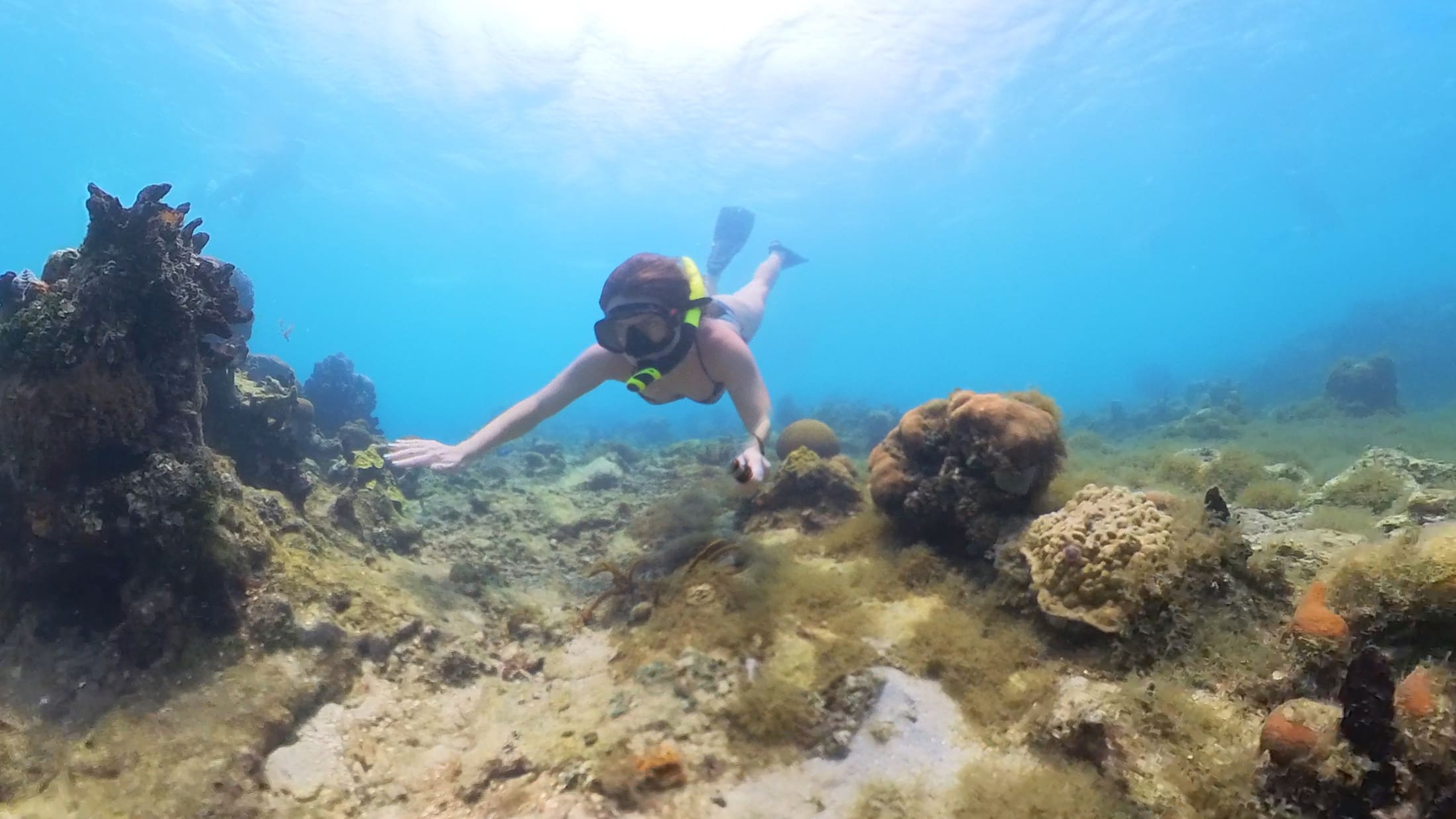 Snorkeling Isla Grande